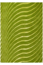 Nadir Purple Lime 170 x 240